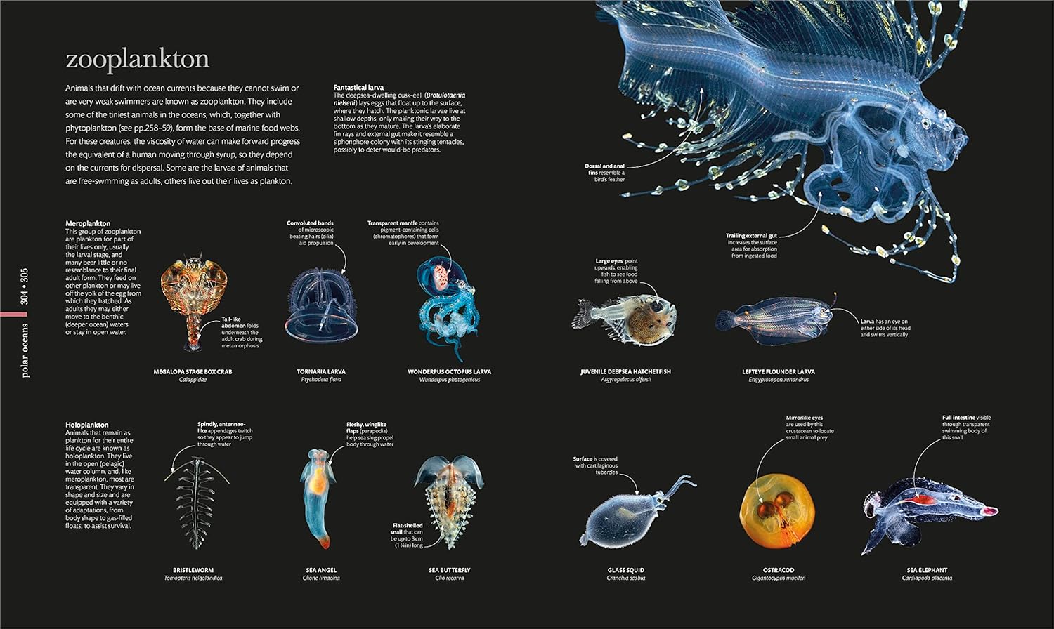 Science of the Ocean: Secrets of the Seas Revealed