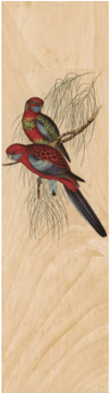 Eastern Rosella Wooden Bookmark