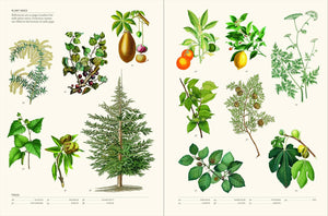 Secret Language of Plants