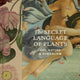 Secret Language of Plants
