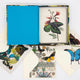 Shimmering Wings: 10 Notecards and Envelopes