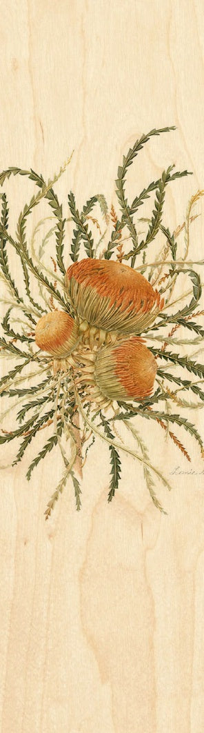 Showy Dryandra Wooden Bookmark