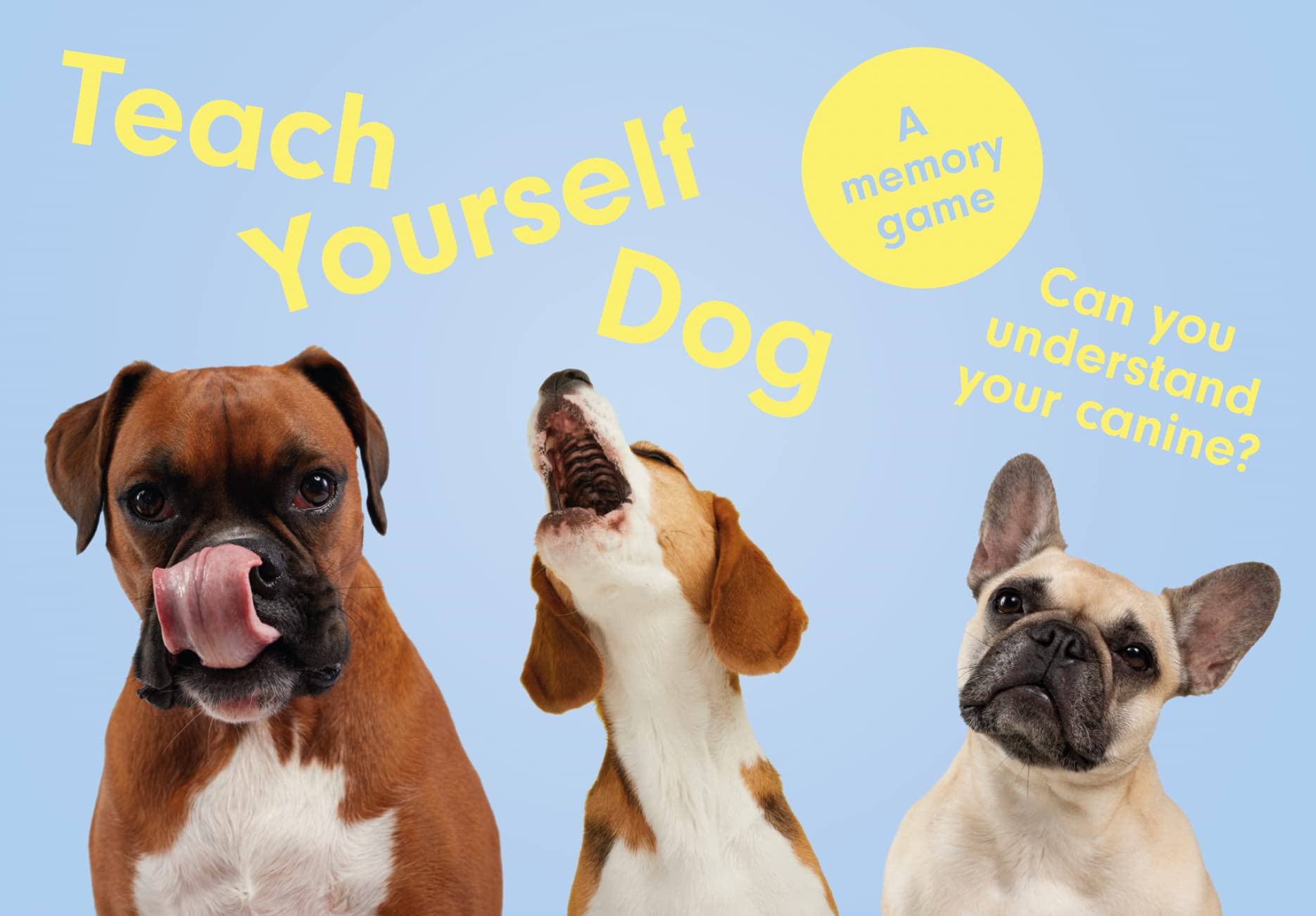 Teach Yourself Dog: A Memory Game
