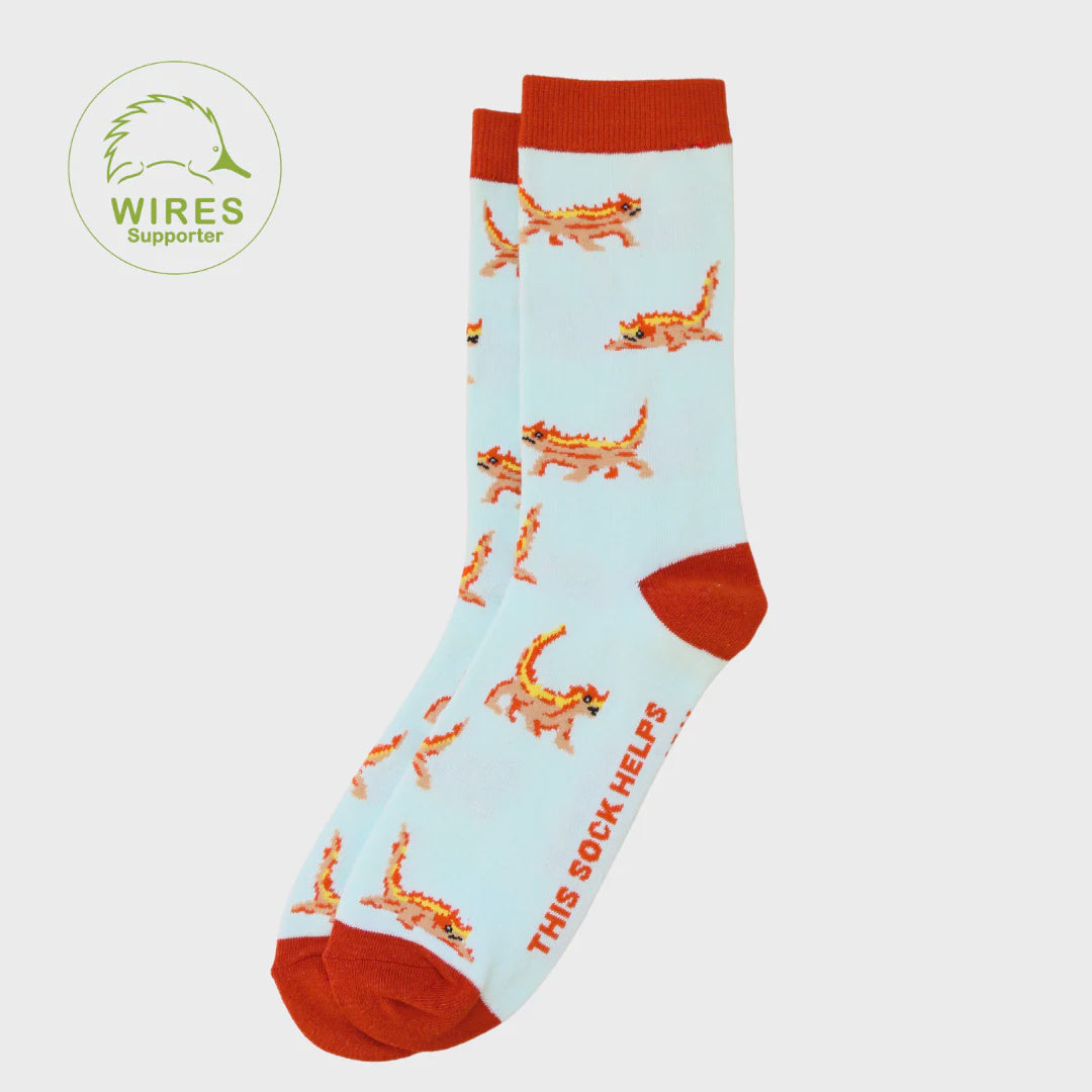 Thorny Devil Lizard Socks 7-12 – QAGOMA Store