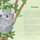 Tree Lore: The Myths, Folklore and Meaning of Trees