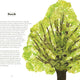 Tree Lore: The Myths, Folklore and Meaning of Trees