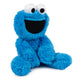 Cookie Monster Take-Along 24cm Plush Toy