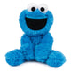 Cookie Monster Take-Along 24cm Plush Toy