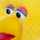 Big Bird Soft Toy 30cm