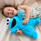 Oh So Snuggly Cookie Monster 30cm Plush Toy