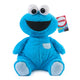 Oh So Snuggly Cookie Monster 30cm Plush Toy
