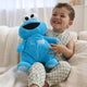 Oh So Snuggly Cookie Monster 30cm Plush Toy