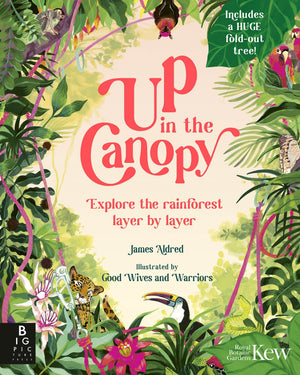 Up in the Canopy: Explore the Rainforest Layer By Layer