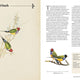 Vintage Birds: A Guidebook and Matching Game