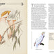 Vintage Birds: A Guidebook and Matching Game