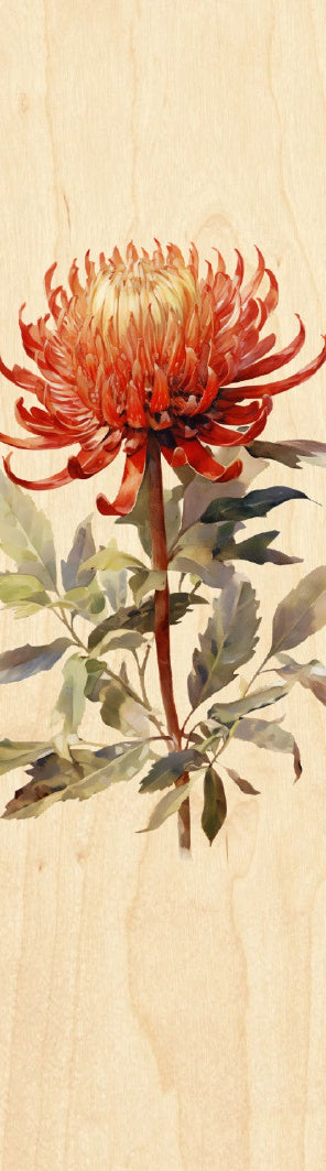 Waratah Bookmark