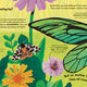Watch Me Grow: Butterflies
