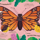 Watch Me Grow: Butterflies