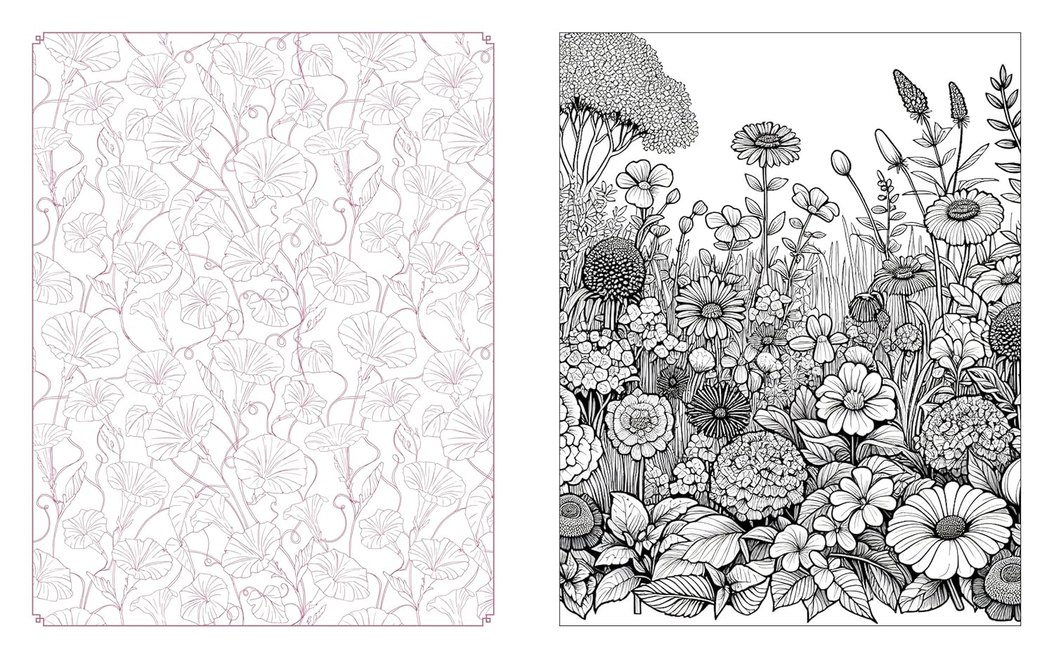 Wildflowers in Bloom Colouring Book