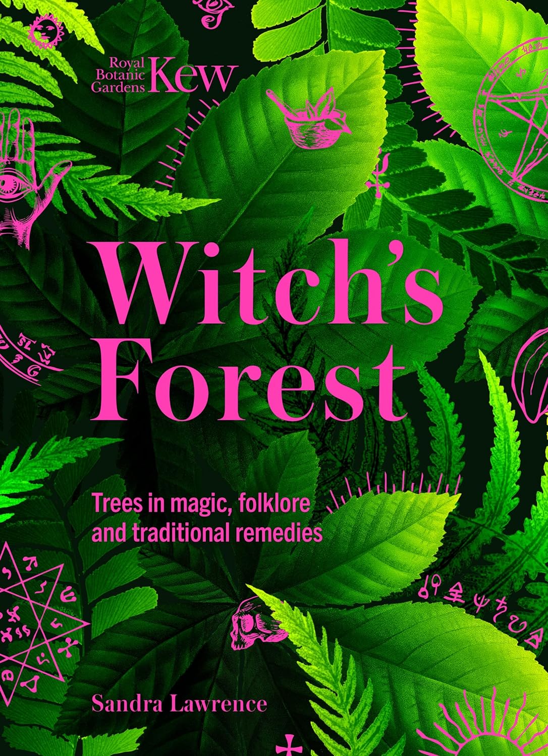 Witch's Forest