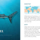 Wonders of the Wild: Sharks