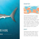 Wonders of the Wild: Sharks