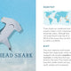 Wonders of the Wild: Sharks