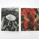 Ying Ang: Fruiting Bodies