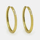 Anaya Earrings