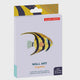 Angelfish B7 Sea Creatures Wall Art