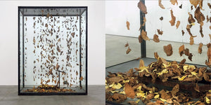 Anselm Kiefer: Mein Rhein