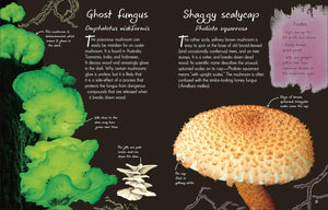 Anthology of Fungi: A Collection of Mushrooms, Toadstools and Other Fungi