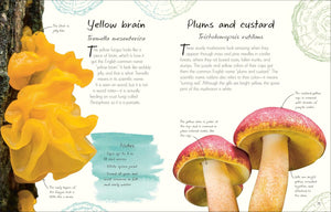 Anthology of Fungi: A Collection of Mushrooms, Toadstools and Other Fungi