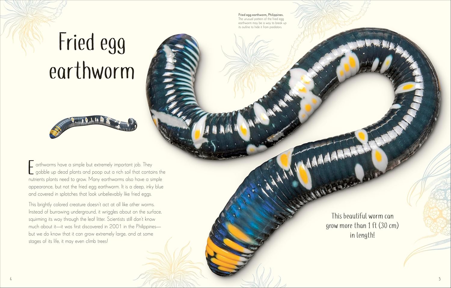 Anthology of Remarkable Bugs