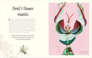 Anthology of Remarkable Bugs