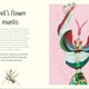 Anthology of Remarkable Bugs