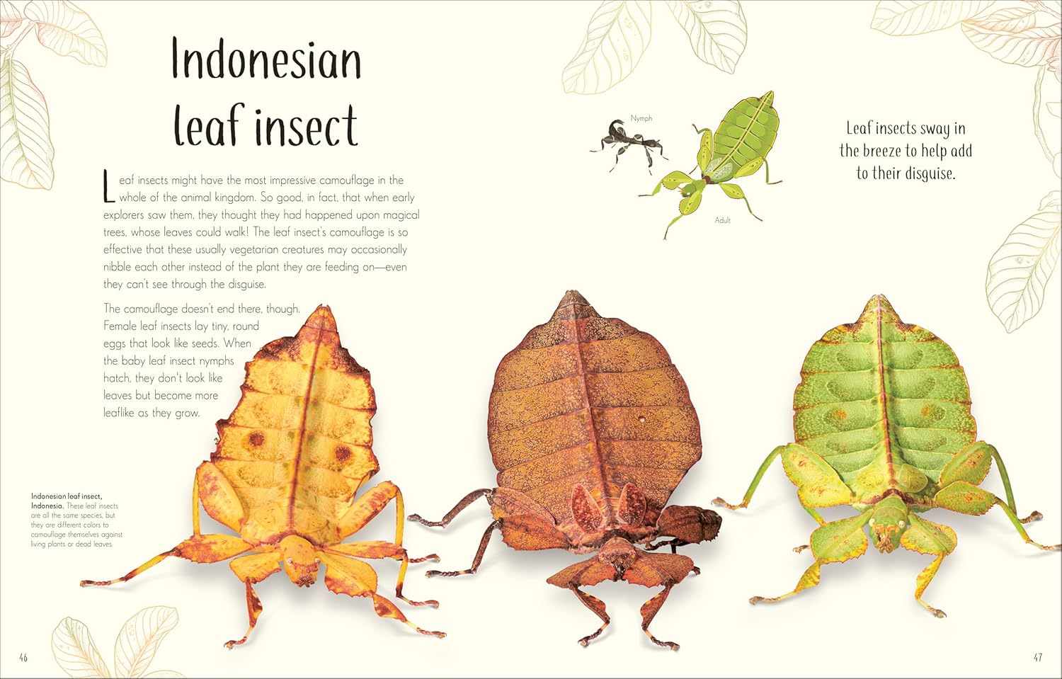 Anthology of Remarkable Bugs