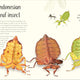Anthology of Remarkable Bugs