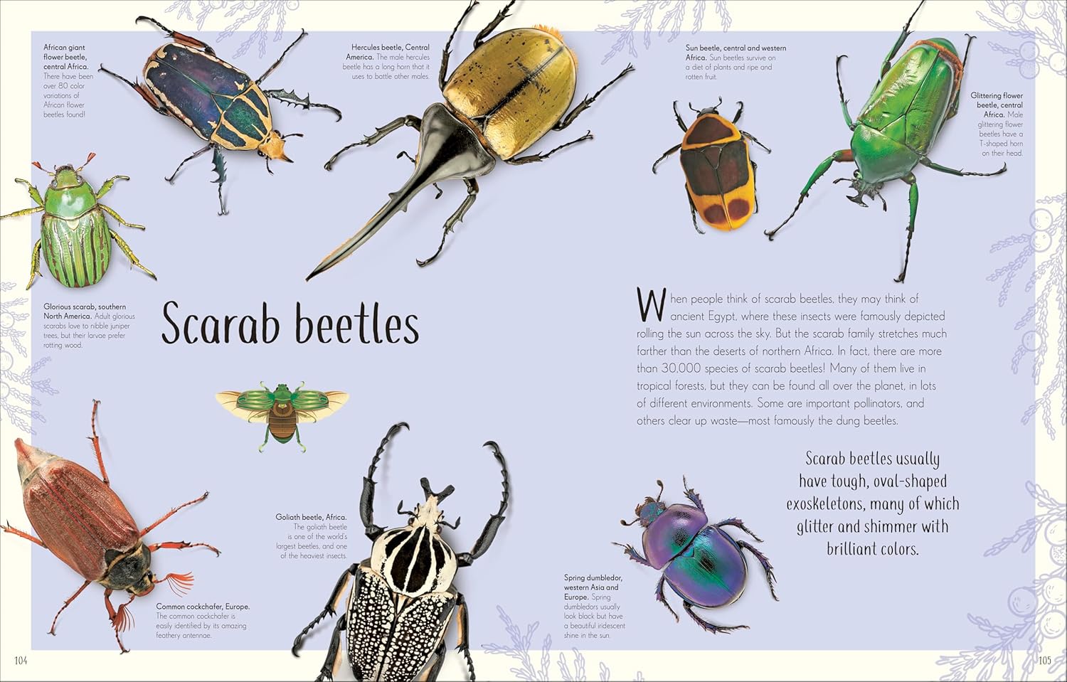 Anthology of Remarkable Bugs