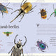 Anthology of Remarkable Bugs