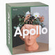 Apollo Vase Terracotta