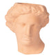 Apollo Vase Terracotta