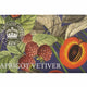 Apricot Vetiver Kew Gardens Soap 240g