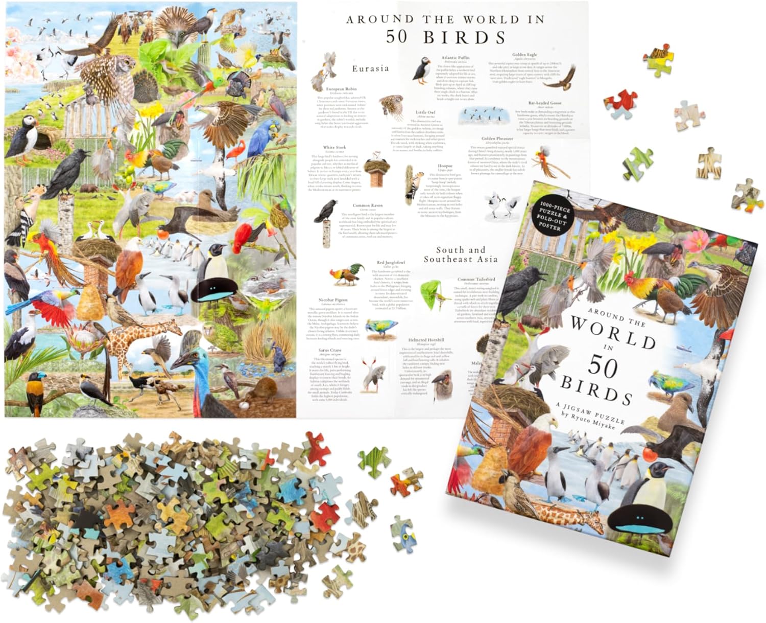 Around The World in 50 Birds: 1000 Piece Puzzle
