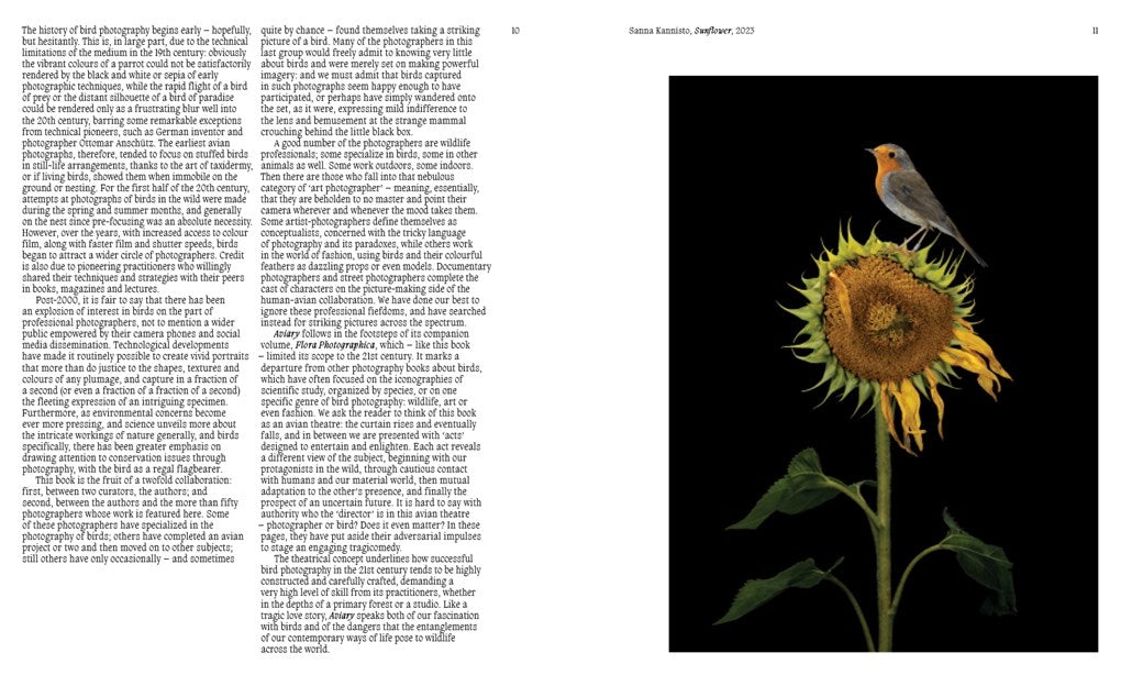 Aviary: The Bird in Contemporary Photography