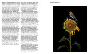 Aviary: The Bird in Contemporary Photography
