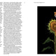 Aviary: The Bird in Contemporary Photography