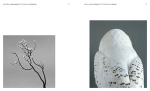 Aviary: The Bird in Contemporary Photography