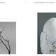 Aviary: The Bird in Contemporary Photography