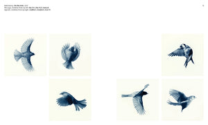 Aviary: The Bird in Contemporary Photography
